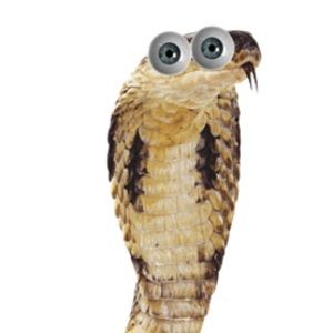 Meet your Posher, Houston